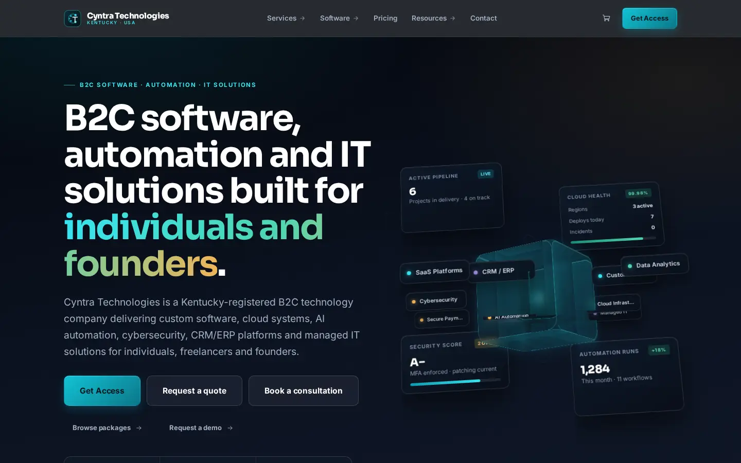 Cyntra Technologies website — homepage